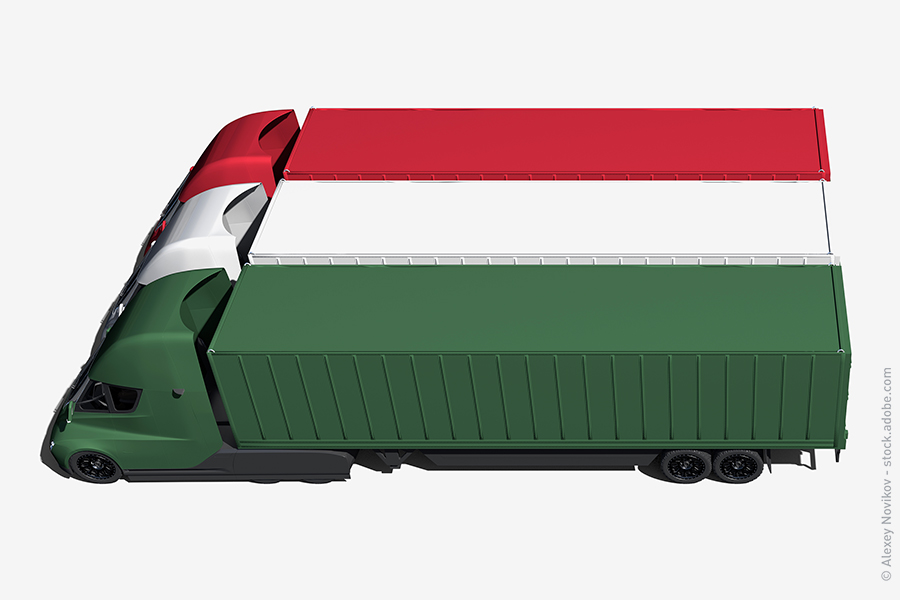 BiREG-rendszerrel kapcsolatos szakmai tapasztalatok